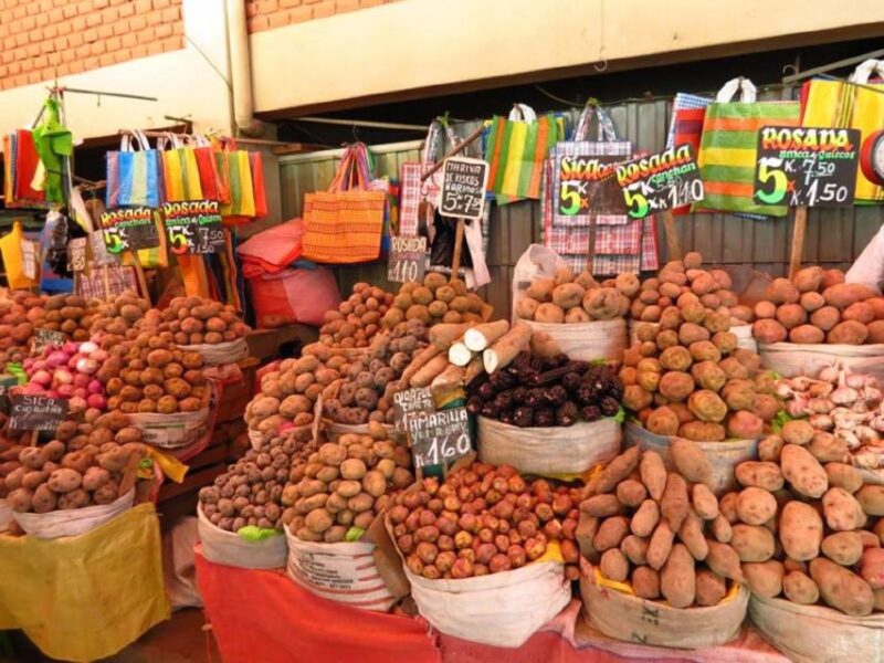 Arequipa: San Camilo Market Tour - Tour Overview