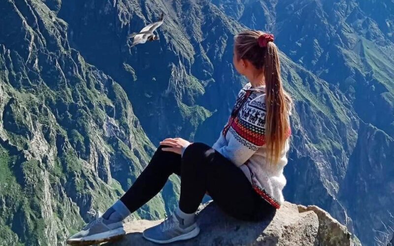 Arequipa: Trekking to the Colca Canyon 2 Days/1 Night - Return Trip to Arequipa