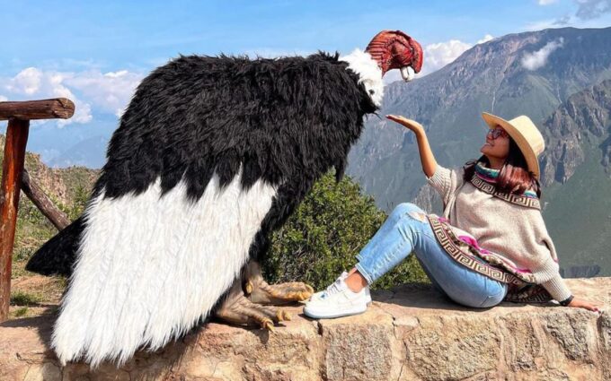 Arequipa: Trekking to the Colca Canyon 2 Days/1 Night - Frequently Asked Questions