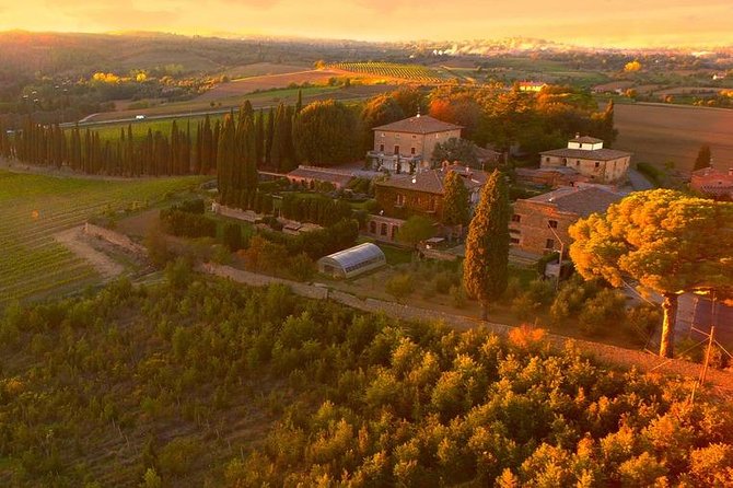Arezzo: Wine Tasting Experience in Valdichiana Area - Expert Sommelier Insights