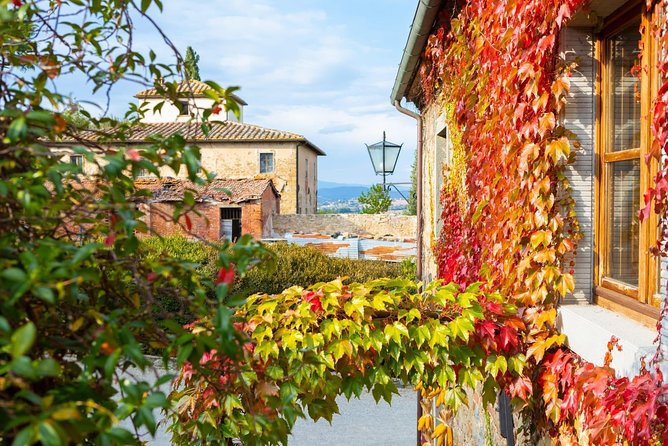 Arezzo: Wine Tasting Experience in Valdichiana Area - Positive Guest Feedback