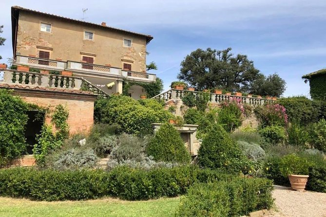 Arezzo: Wine Tasting Experience in Valdichiana Area - Transportation and Amenities
