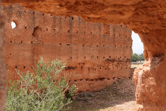 Argan Forest, Tea Time at a Berbers Family & Visit of an Argan Cooperative. - Argan Forest Visit