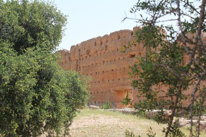 Argan Forest, Tea Time at a Berbers Family & Visit of an Argan Cooperative. - Tea Time at Berber Family