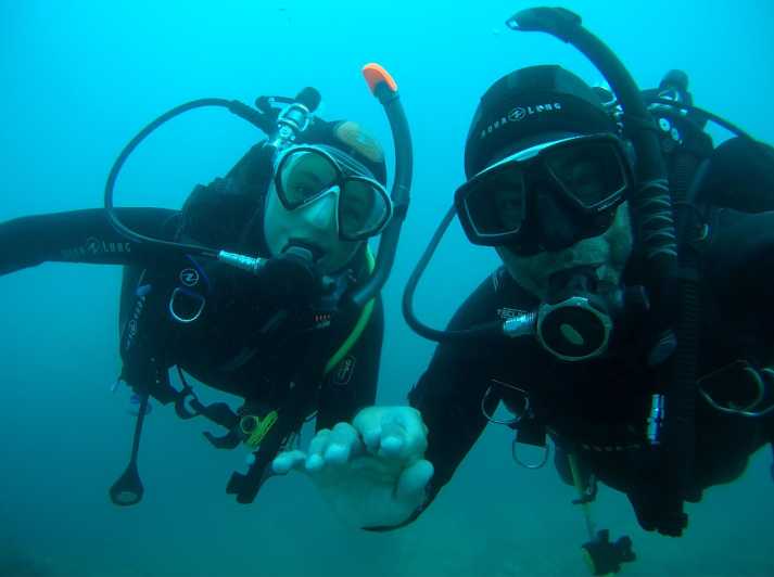 Argelès-Sur-Mer: First Dive in the Marine Natural Park - Dive Experience