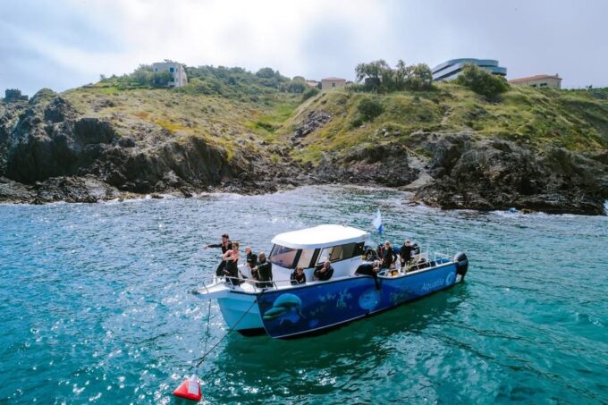 Argelès-Sur-Mer: First Dive in the Marine Natural Park - Optional Video Keepsake
