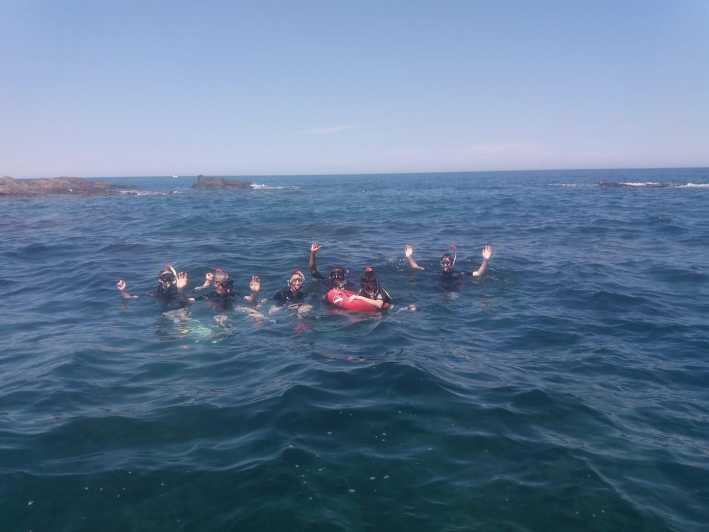 Argelès-Sur-Mer: Snorkeling Into the Marine Natural Park - Key Points
