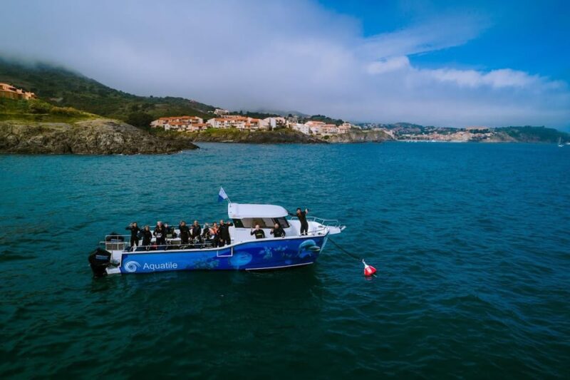 Argelès-Sur-Mer: Snorkeling Into the Marine Natural Park - Experience Highlights