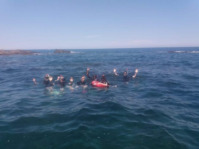 Argelès-Sur-Mer: Snorkeling Into the Marine Natural Park - Inclusions