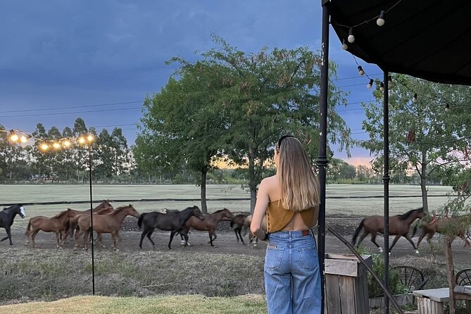 Argentina Polo Experience by La Guapeada Polo - Detailed Experience Schedule