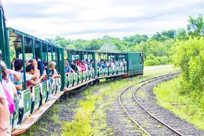 Argentine and Brazil Falls Private Tour With Fast-Track Tickets - Argentina Falls Highlights