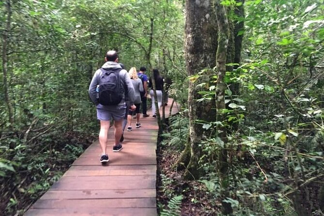 Argentine and Brazil Falls Private Tour With Fast-Track Tickets - Brazil Falls Highlights