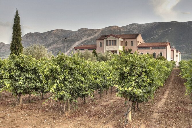 Argo Cultural Arts and Tastings Private Tour - Questions About Staying Here