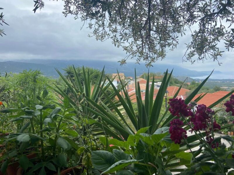 Argostoli and Beyond: a Journey Through Villages - Customer Reviews and Ratings