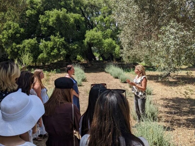 Argostoli - Farm Delights and Rustic Tastes - Pickup Locations and Itinerary