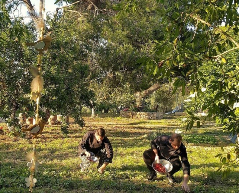 Argostoli - Farm Delights and Rustic Tastes - Exploring the Organic Farm