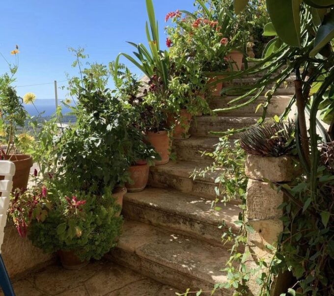 Argostoli & Villages: Private Tour With Olive Oil Tasting - Frequently Asked Questions