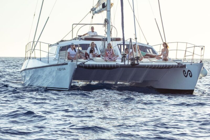 Arguineguin: Catamaran Excursion With Lunch and Drinks - Key Points