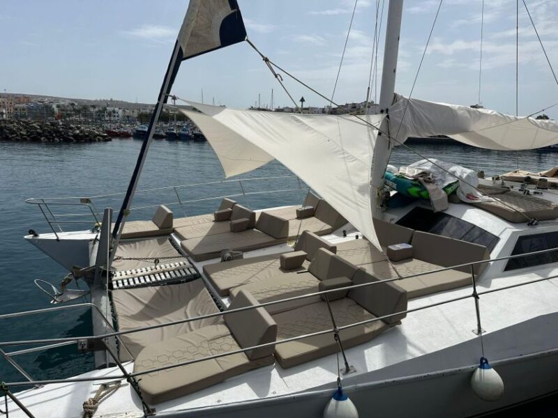 Arguineguin: Catamaran Excursion With Lunch and Drinks - Convenient Pick-Up and Drop-Off