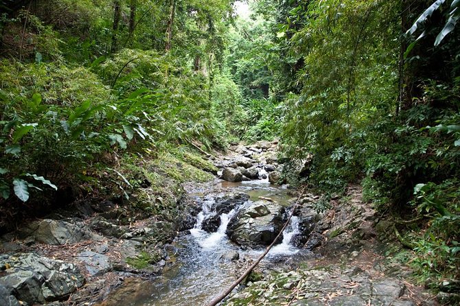 Argyle Waterfall With Adventure Farm - Recommended Activities
