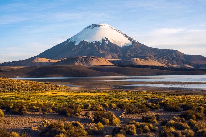 Arica: Full Day to Lauca National Park and Chungara Lake, Meals Included - Key Points