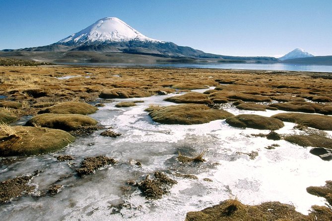 Arica: Full Day to Lauca National Park and Chungara Lake, Meals Included - Tour Overview