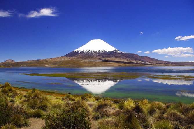 Arica: Full Day to Lauca National Park and Chungara Lake, Meals Included - Exploring Wild Landscapes