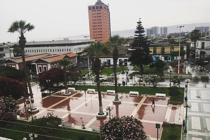 Arica: Half Day Panoramic City Tour - Architectural Gems of Arica