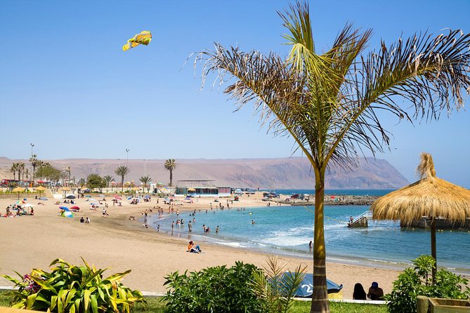 Arica: Half Day Panoramic City Tour - Panoramic Views From El Morro