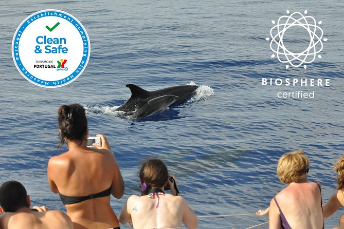 Arieiro Peak and Cristo Rei 4x4 Experience + Dolphins Watching - Health and Safety Measures