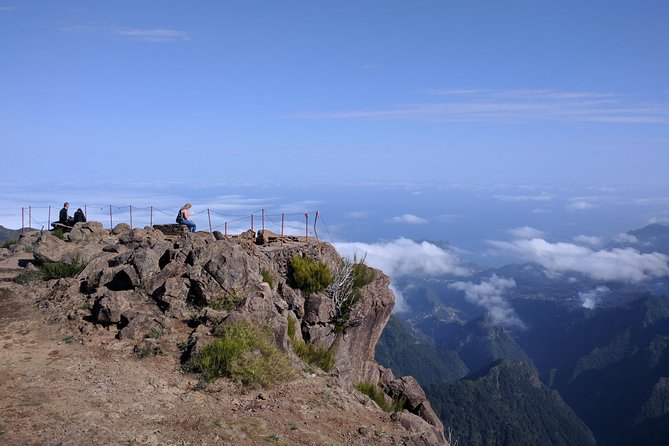 Arieiro Peak and Cristo Rei 4x4 Experience + Dolphins Watching - Reviews and Ratings