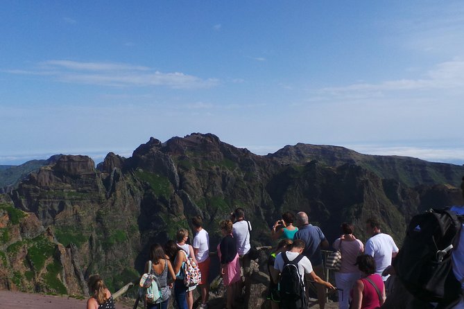 Arieiro Peak and Cristo Rei 4x4 Experience + Dolphins Watching - Booking and Cancellation Policy
