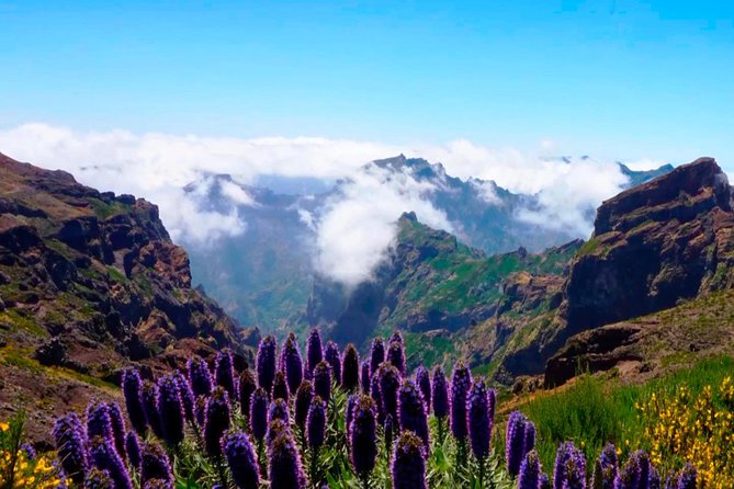Arieiro Peak, Santo Da Serra and Cristo Rei 4x4 Experience - Valley of the Nuns