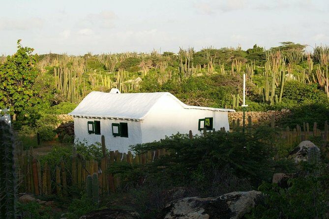Arikok Adventurous Hiking Experience in Aruba - The Sum Up
