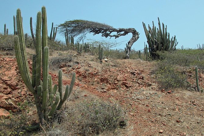 Arikok Adventurous Hiking Experience in Aruba - Tour Details and Inclusions