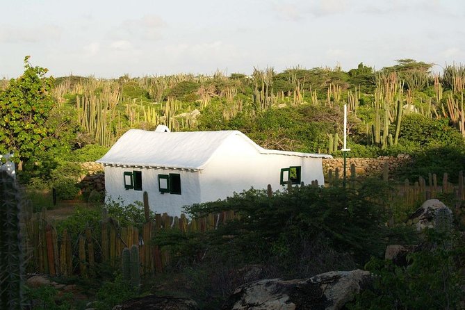 Arikok Adventurous Hiking Experience in Aruba - Physical Fitness and Health Considerations