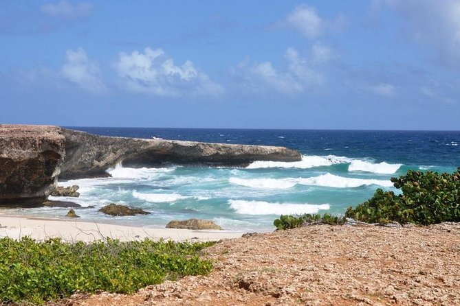 Arikok Adventurous Hiking Experience in Aruba - Recommendations for Participants