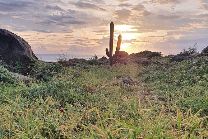 Arikok Sunrise Hiking Tour to Natural Pool + Transportation - Frequently Asked Questions