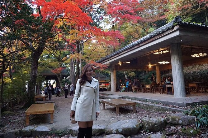 ARIMA ONSEN Custom Tour With Private Car and Driver (Max 9 Pax) - Pickup and Drop-off Details