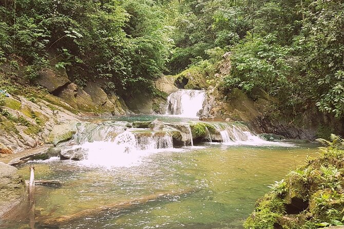Aripo Waterfall Adventure - About Your Stay