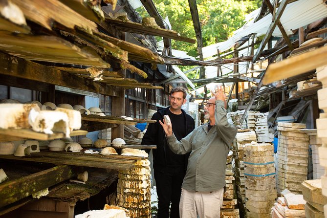 Arita Ware Private Walking Tour and Ceramics Treasure Hunt - Meeting and Pickup