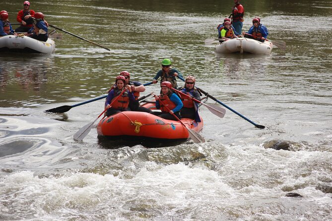 Arizona Rafting on the Salt River - Half Day Rafting Trip - Trip Details and Specifications