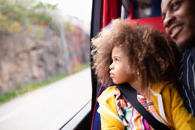 Arlanda Airport Bus Transfer Departure - Ticket Purchase and Validation