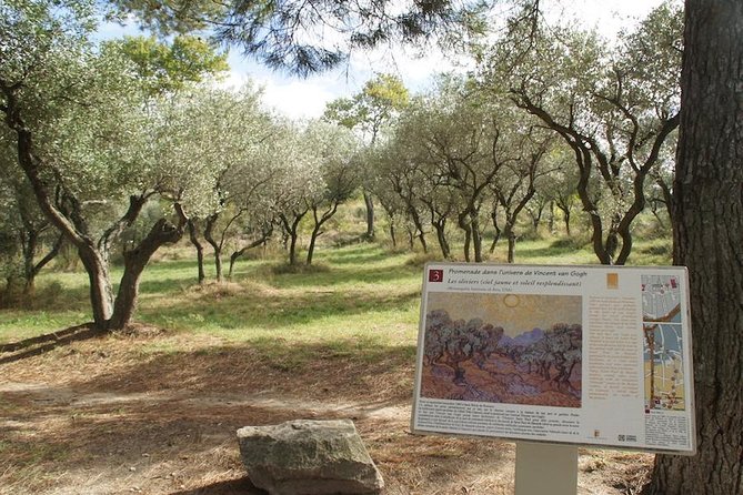 Arles and Saint-Rémy-de-Provence Private Tour - Customization Options