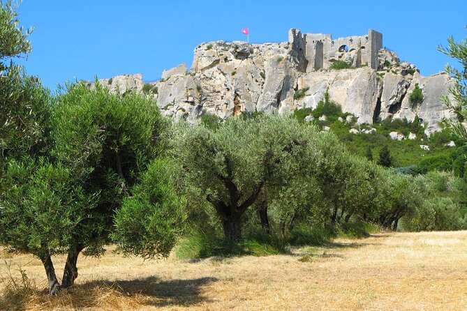 Arles, Les Baux and Saint-Remy Villages Full Day Trip From Aix - Lunch and Independent Exploration