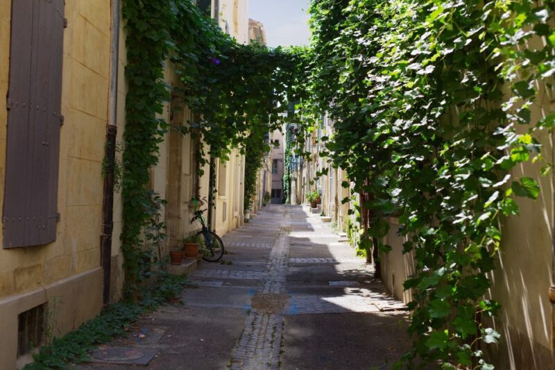 Arles: Private Guide Tour - Explore History & Culture - Booking Information