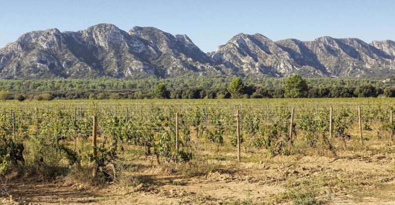 Arles, Saint-Rémy & Les Baux De Provence: Guided Tour - Following in Van Goghs Footsteps