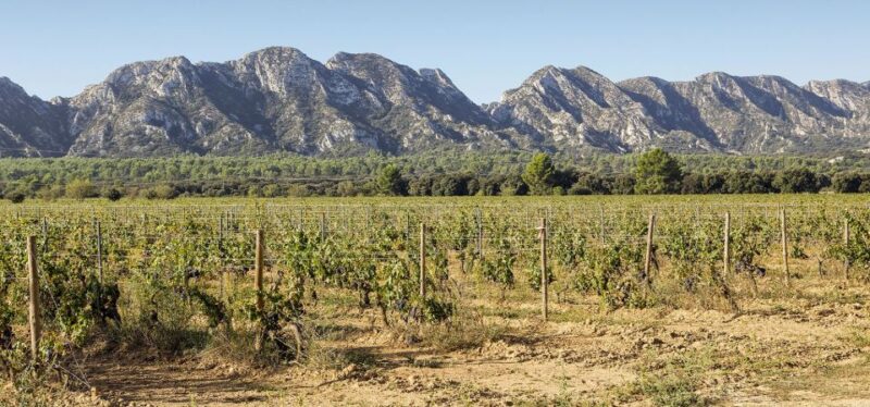 Arles, Saint-Rémy & Les Baux De Provence: Guided Tour - Wine Tasting in Saint-Rémy