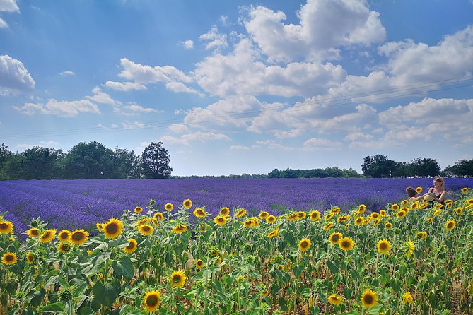 Arles Small Groupe Tour : Private Day Trip to Luberon Villages - Itinerary & Activities