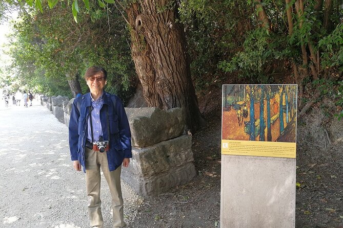 Arles - St Remy - Les Baux De Provence - 8h - Arles: Roman Ruins and Van Gogh